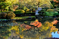 Japanese Garden UW