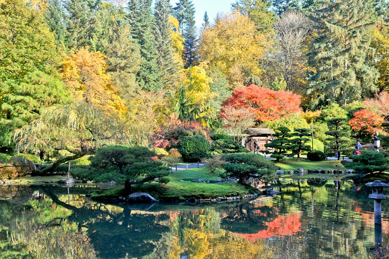 Zenfolio | MeekImpressions | Japanese Garden UW