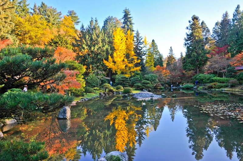 Zenfolio | MeekImpressions | Japanese Garden UW