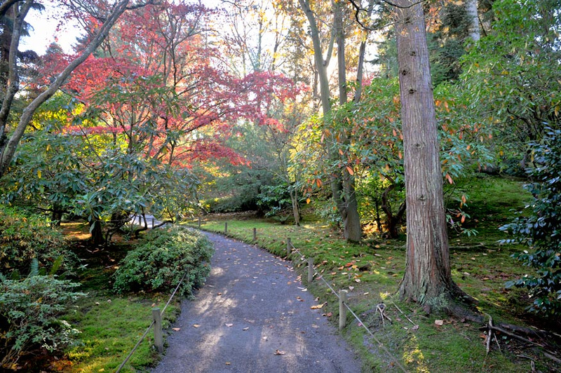 Zenfolio | MeekImpressions | Japanese Garden UW