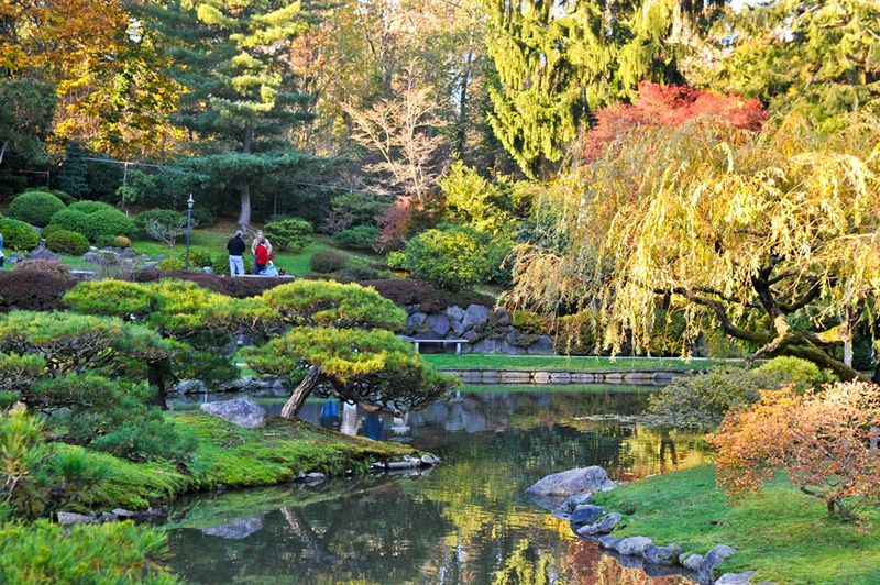 Zenfolio | MeekImpressions | Japanese Garden UW