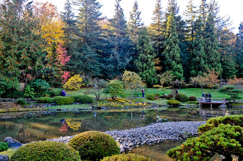 Zenfolio | MeekImpressions | Japanese Garden UW